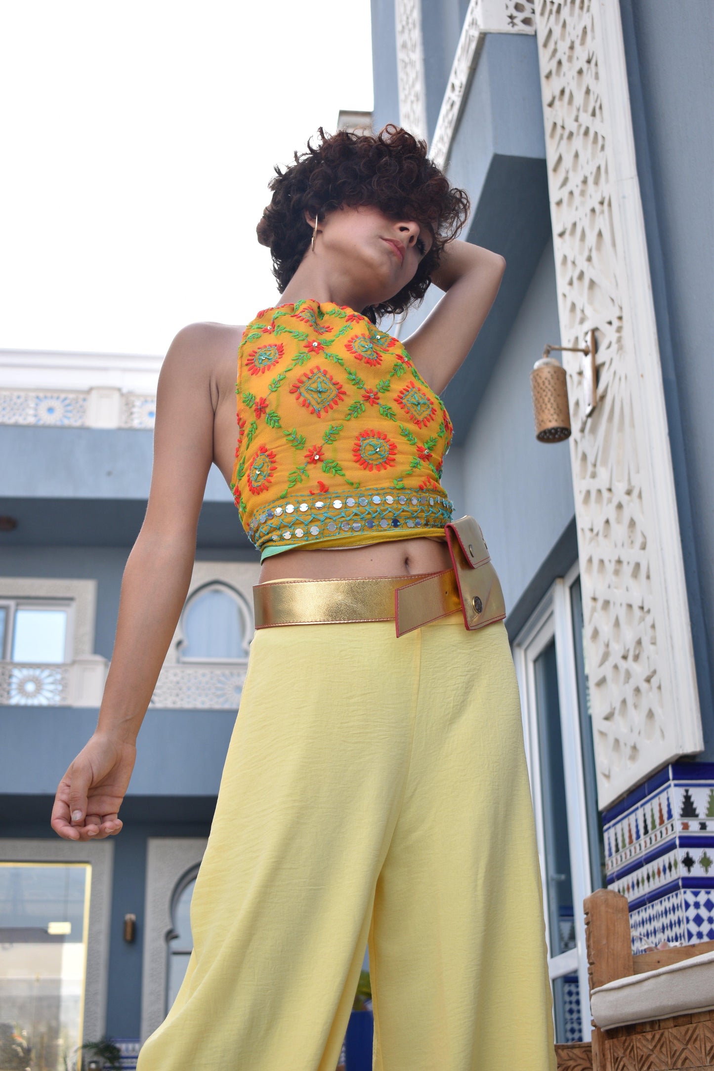 Alejandra Embroidered Backless Top